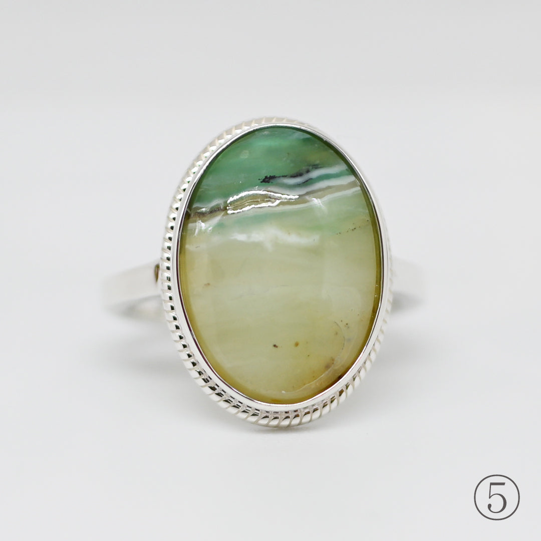 【数量限定】1点物 コモンオパール by:Talat 25AW