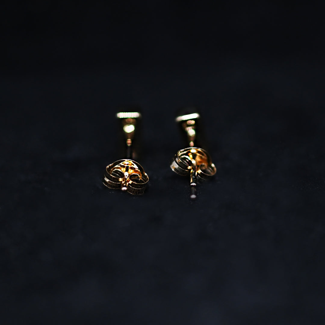 オーロラ・シナジーコレクション・ピアス(S)【K10YG】25AW