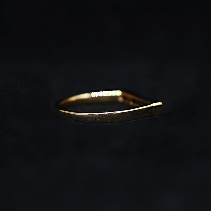 オーロラ・シナジーコレクション・リング(L)【K10YG】25AW