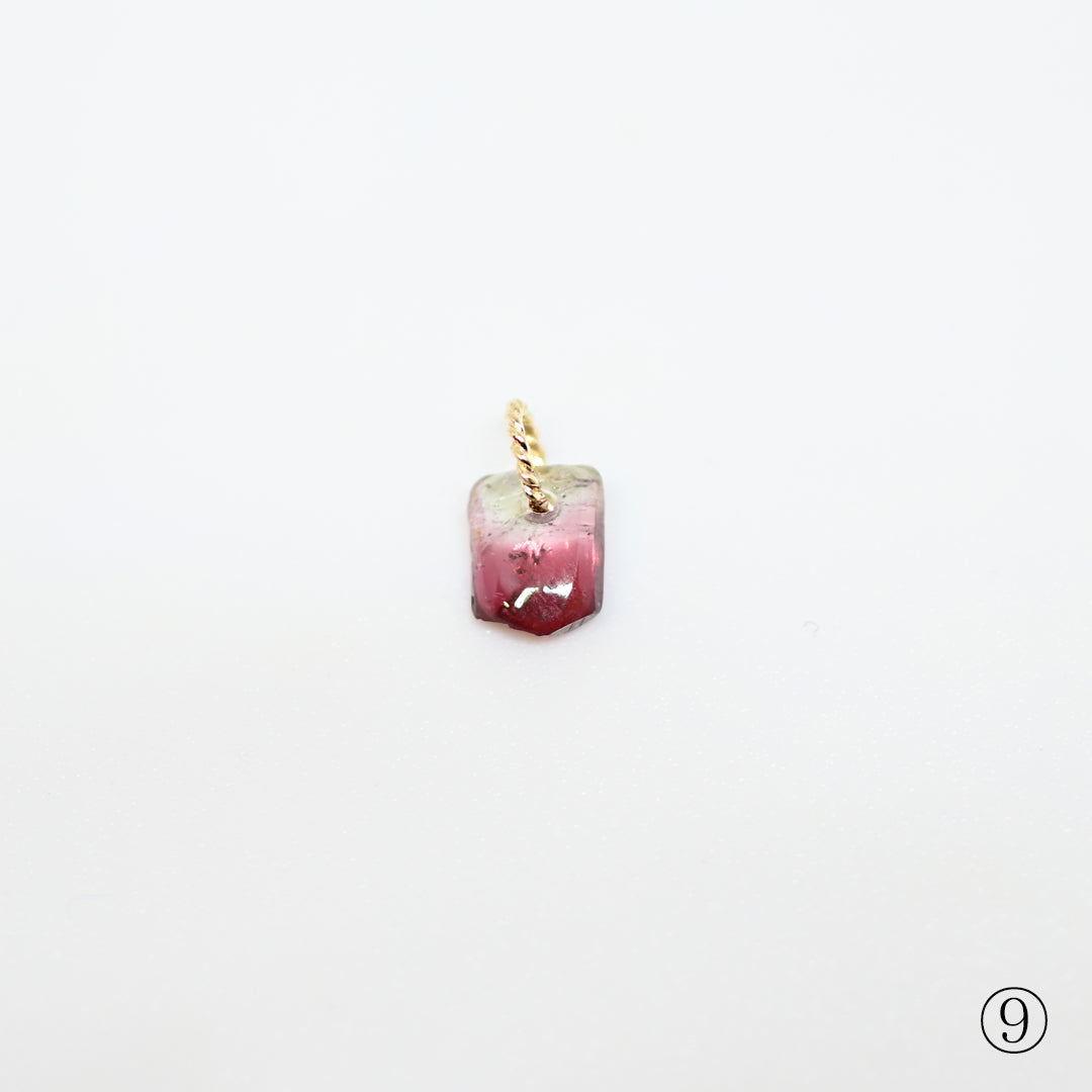 1点物 バイカラートルマリン原石 チャーム 25AW