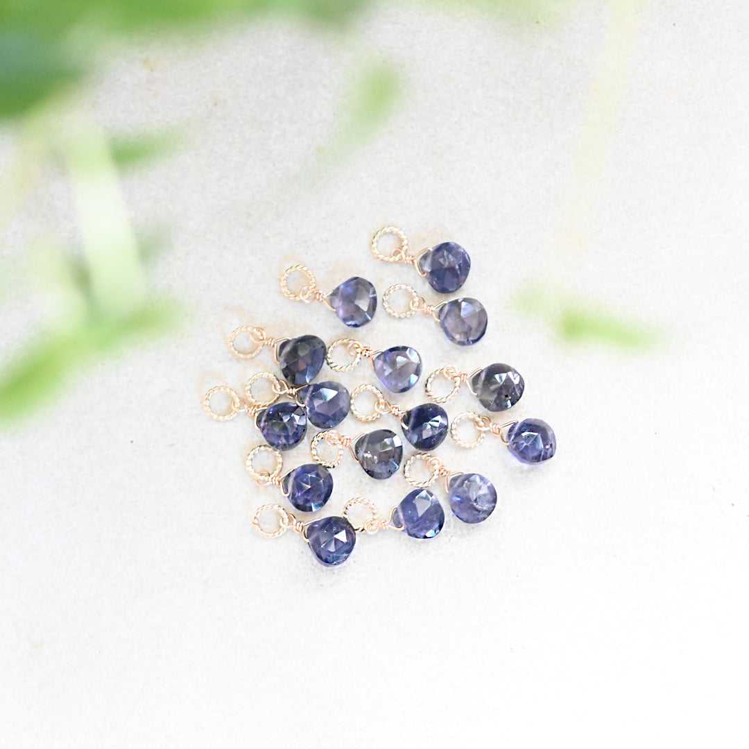 アイオライトチャーム【K10YG】25AW