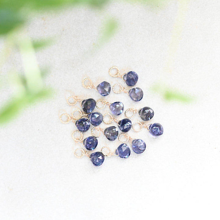 アイオライトチャーム【K10YG】25AW