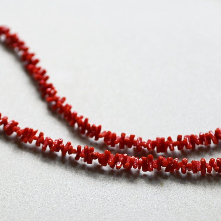 Talat sanuk 赤珊瑚ネックレス 25AW