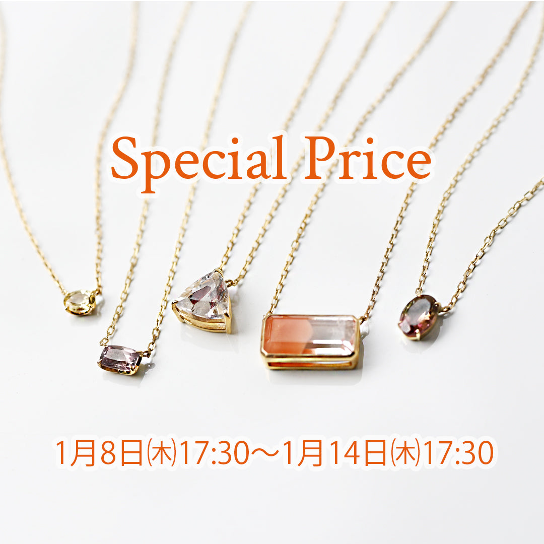 SpecialPrice20％OFF