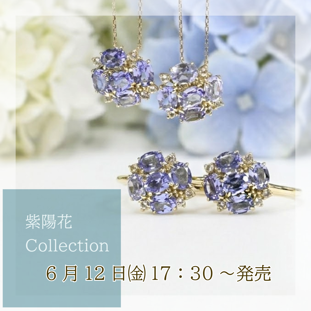 2026紫陽花