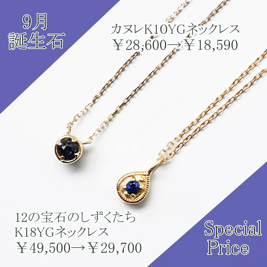 9月のお買い得品