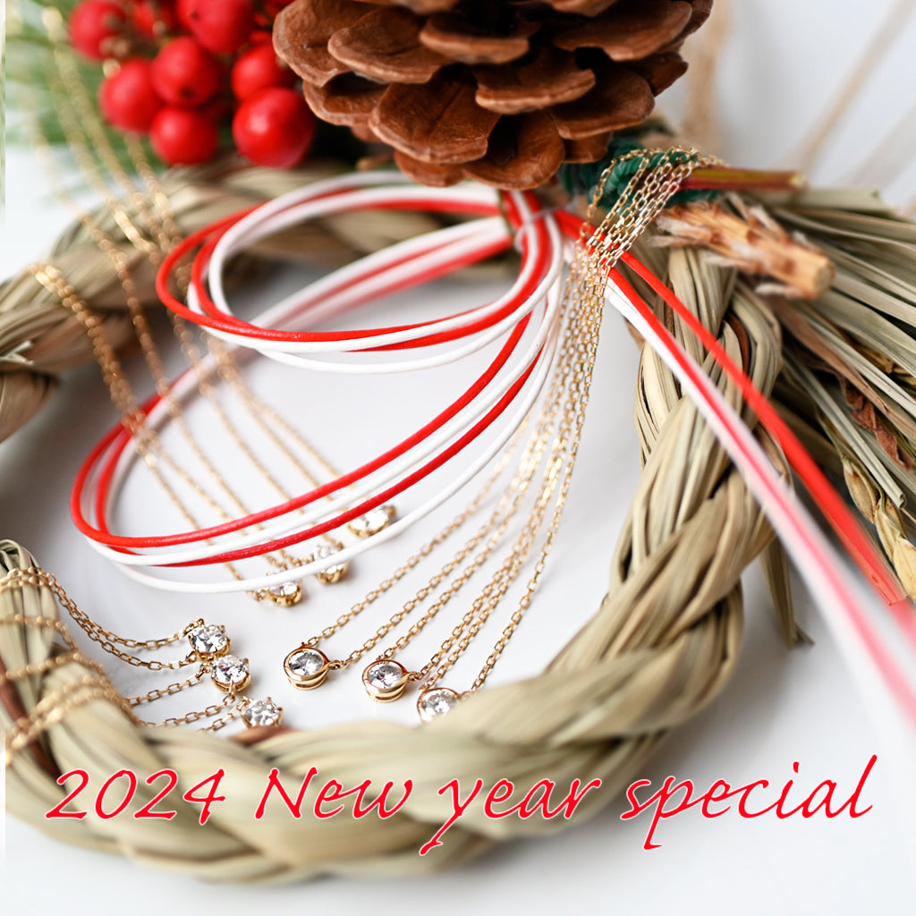 2024newyearspecialprice
