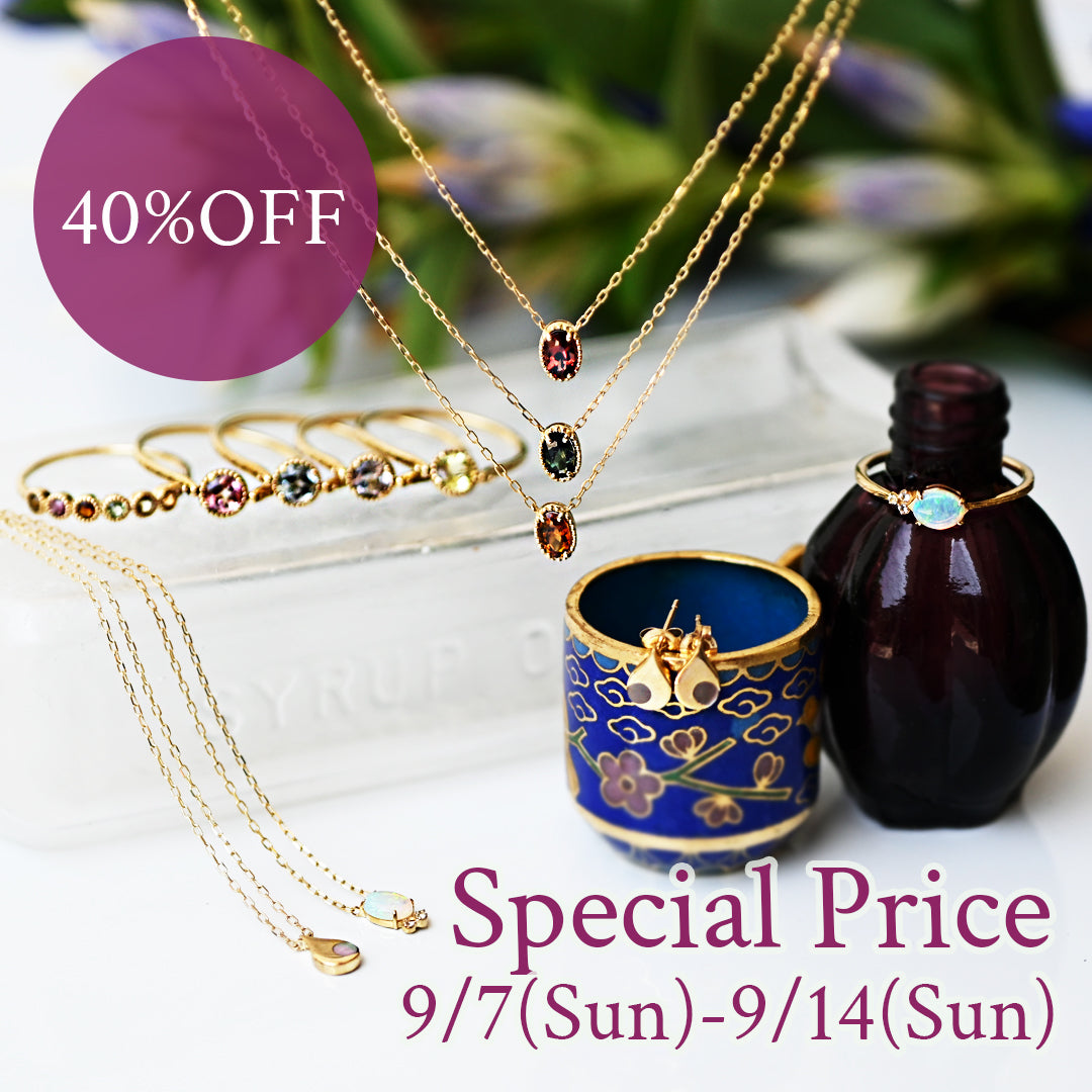 Autumn Special Price