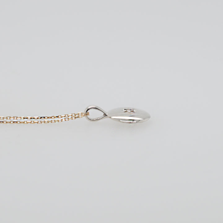 【BLACK FRIDAYクーポン対象外】Ananke  ペアネックレス【SV925/K10YG】25AW